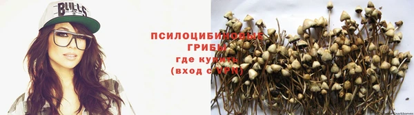 амф Богородицк