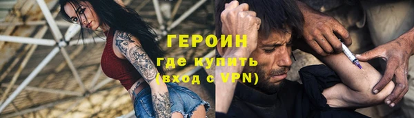 прущие грибы Богданович
