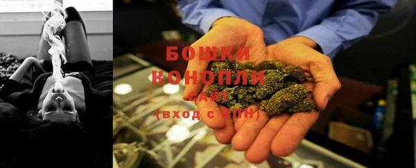 амф Богородицк