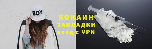 прущие грибы Богданович