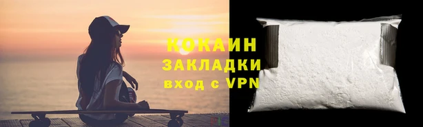 прущие грибы Богданович