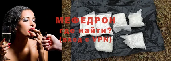 прущие грибы Богданович