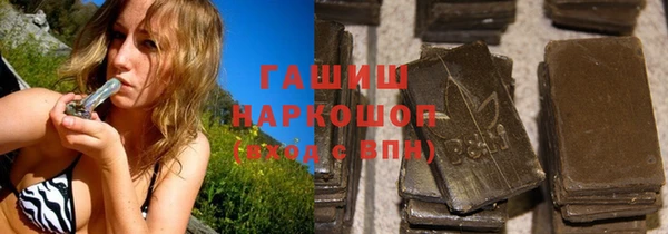 прущие грибы Богданович
