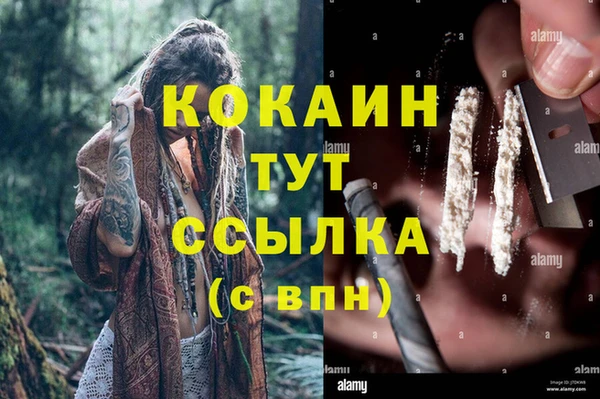 прущие грибы Богданович