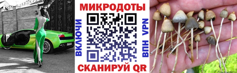 Купить где  Алейск  Галлюциногенные грибы мицелий 