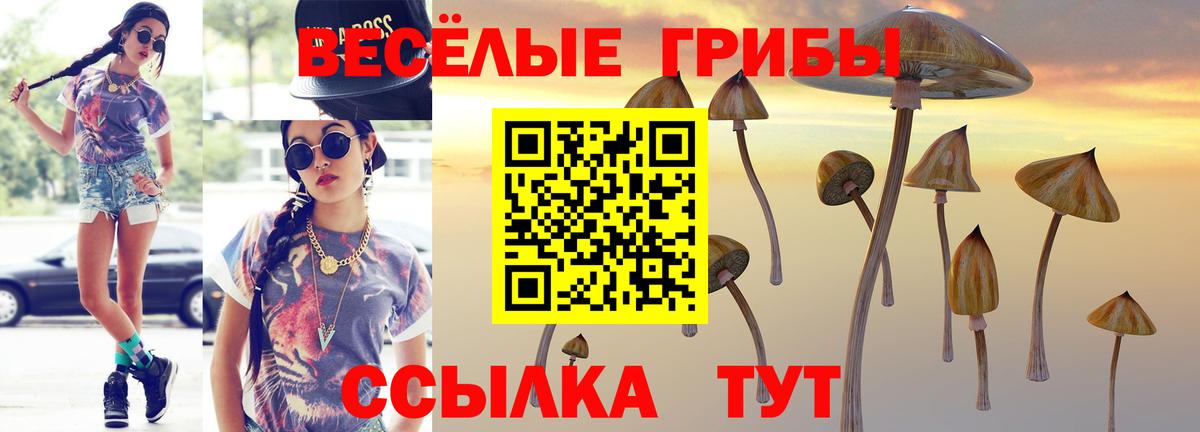 закладка  Галлюциногенные грибы MAGIC MUSHROOMS  Вход с VPN  Алейск  Галлюциногенные грибы мухоморы 